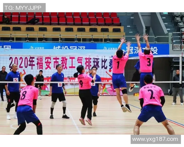 权威发布排球团队协作实力榜单揭示各队默契与配合程度