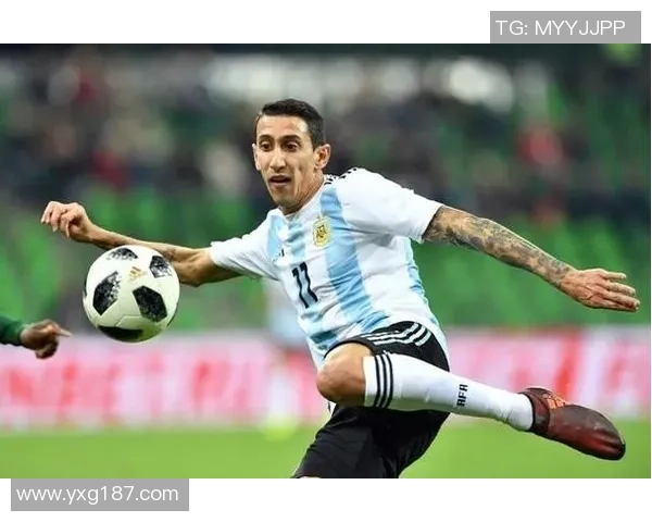 足球场上的传奇之路：著名13号足球明星的辉煌历程与成就解析