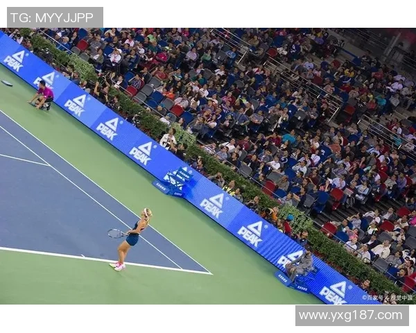 世界锦标赛点评：武汉网球队的个人能力表现